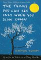 The Things You Can See Only When You Slow Down: How to be Calm in a Busy World Paperback. 
