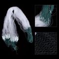 Fishing Net Single Mesh Nylon Durable Float Trap Monofilament Gill Net Fishing Accessories For Hand Casting P0H7.