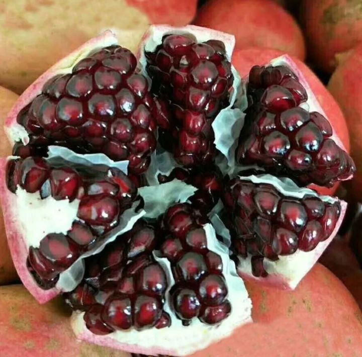 All%20Season%20Sweet%20Pomegrante%20Bedana%20-%2020+%20Seeds%20-%20Image%203