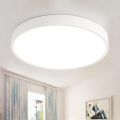 LED Ceiling Light Round Ultra Slim 24 W Diameter 30 x 4 cm Warm White 3000 K Lamp for Living Room Bedroom Office Kitchen Office (White).