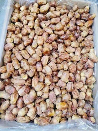 Zahidi%20Dates%20-%201Kg.%20Zambo%20Size%20-%20Image%204