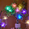 Fiber Optic Fairy Lights Waterproof 40/100 LED Starburst Light Flower Christmas String Light for Party Tree Decoration. 