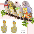 Pet Bird Diaper Washable for budgie bird. 