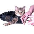 Pet Supply Cat Grooming Bag - Cat Restraint Bag, Cat Grooming Accessory. 