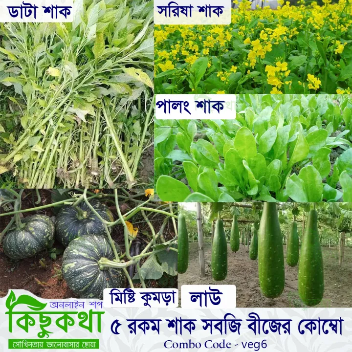 5 Type Vegetable Seed Combo Pack- veg6 - Combo of Data Sak, Palong Sak, Sorisa sak, Misti kumra, Lau