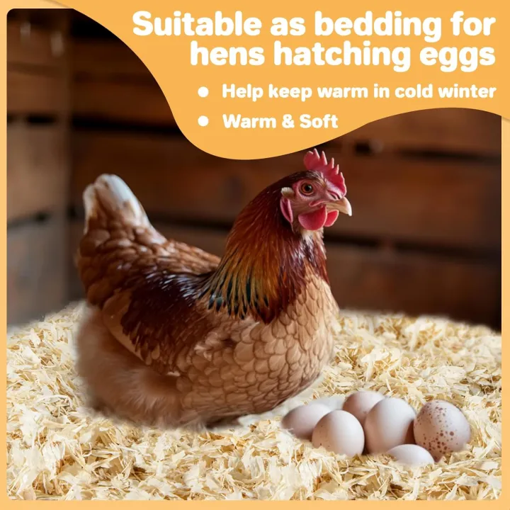 Chicken%20coop%20Bedding%20-%20Aspen%20shavings%20Animal%20Bedding%20as%20Chicken%20Supplies%20for%20Chicken%20House%20Bedding%20winterizing%20Nesting%20for%20Small%20pet%20Guinea%20Pig%20Rabbit%20Chinchilla%20Bird%20Gerbil%20Odor%20Control%20-%20Image%203