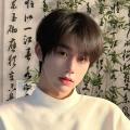 Wig Men's Short Hair Korean Style Handsome Differential Broken Cover Natural Male Tall Teenager Daily Men's Short Straight Hair Full-Head Wig. 
