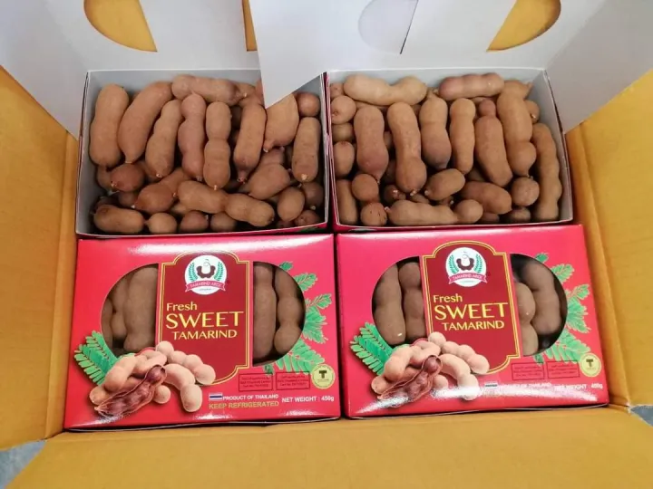 Sweet%20Tamarind%20(Misti%20Tetul)%20Thai%20450g%20-%20Image%203