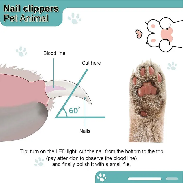 LED%20Light%20Pet%20Nail%20Clipper%20Professional%20Pet%20Cat%20Dog%20Nail%20Trimmer%20Cat%20and%20Dog%20Nail%20Cutters%20Animal%20Grooming%20Rabbit%20Nail%20Clippers%20with%20Cat%20Dog%20Nail%20File%20Grinder%20-%20Image%209
