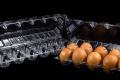 MAIS Reuseble Plastic Egg Tray PVC Transparent 12 Hole - 100 pcs. 