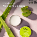 Aarong Earth Aloe Vera Lip Balm - 15 ML. 