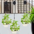6 Pack Retractable Hanger Reach Plant Pulley Adjustable Height Black. 