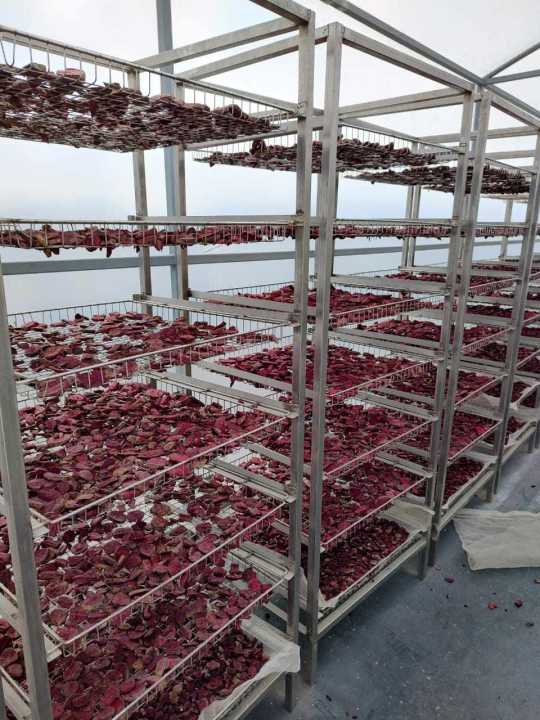 Beetroot%20Powder%20Bitrut%20Gura%20-%20100gm%20-%20Image%203