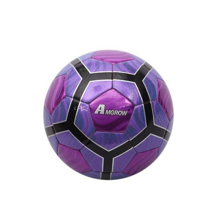 Football Size 5 -Violet