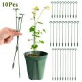 【Top Selling Item】 10Pcs/Set Succulent Phalaenopsis Special Stand Home Shape Support Rod Bracket Fixed Anti-falling Shelf. 