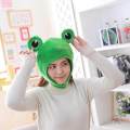 Cute Plush Frog Hat, Winter Scarf Cap, Ears Winter Ski Hat, Full Headgear Novelty Party Dress up Cosplay Costume, Green.