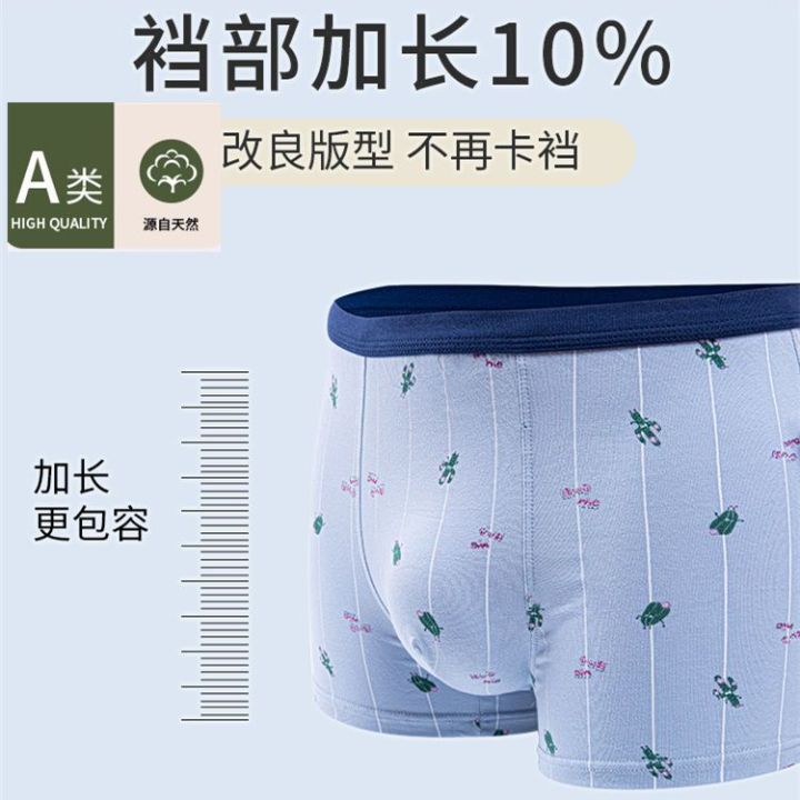 Hengyuanxiang%20Boys'%20Underwear%20Pure%20Cotton%20Boyshorts%20Summer%20Children's%20Boxers%20Thin%20Medium%20and%20Large%20Children's%20Underwear12Little%20Boy15%20-%20Image%202