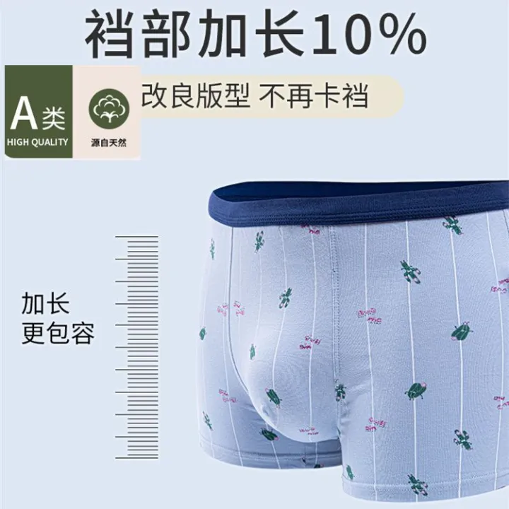 Hengyuanxiang%20Boys'%20Underwear%20Pure%20Cotton%20Boyshorts%20Summer%20Children's%20Boxers%20Thin%20Medium%20and%20Large%20Children's%20Underwear12Little%20Boy15%20-%20Image%202