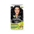 Indian product Hair styling Garnier Color Natural Black shade no 1 used for male/female - 70 ml + 60 gm. 