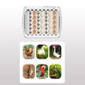 GC Smart Chicken Incubators For Hatching Eggs Small Poultry Duck Quail 35 Egg Incubator Visual Chicken Eggs Incubator With Temperature Control Function Automatic Turner. 