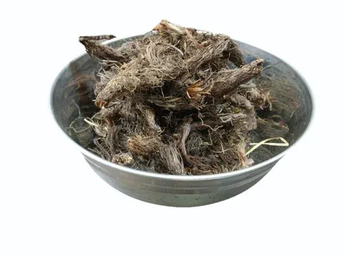 Жазғы секс туралы бейне Мені қалай қаласаңыз, солай етіңіз