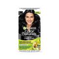 Garnier Color Naturals Nourishing Permanent Hair Color 1 Natural Black 70ml INDIAN.