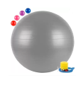 Chinese 75cm Plain Yoga Ball / Gym Ball with Pumper Multicolor - Sports & Fitness. 