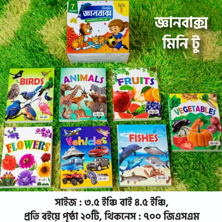 Jhilmil%20Gan%20Box-6%20/%207%20/%2012%20/%2016%20/%2022%20/%2034%20pcs%20Book%20Set-%20Children%20primary%20education%20&%20brain%20development%20best%20laminated%20card%20Book%20for%202-8%20year%20age%20-%20Image%203