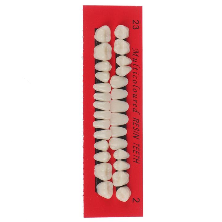 28pc Acrylic Resin Teeth Denture Upper Lower Shade 23# A2 Dental