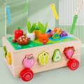 Shape Sorter Carrot Harvest Game Shape Sorter Toy for Toddlers Boys Children. 