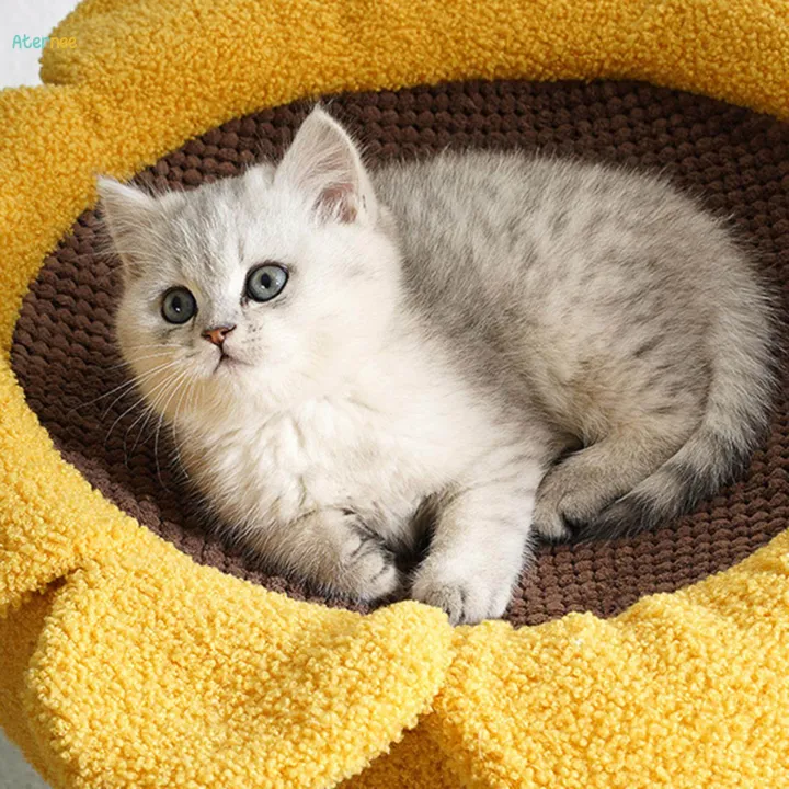 Cat%20Climbing%20Tree%20Cat%20Scratcher%20Tree%20Vertical%20Platform%20Bed%20Hammock%20Climbing%20Stand%20Perch%20Pet%20House%20Kitten%20Condo%20Towel%20for%20Small%20Cats%20Kitten%20-%20Image%205