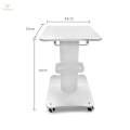 Mobile Utility Cart Professional Esthetician Cart Salon Trolley with Wheels Large Table.