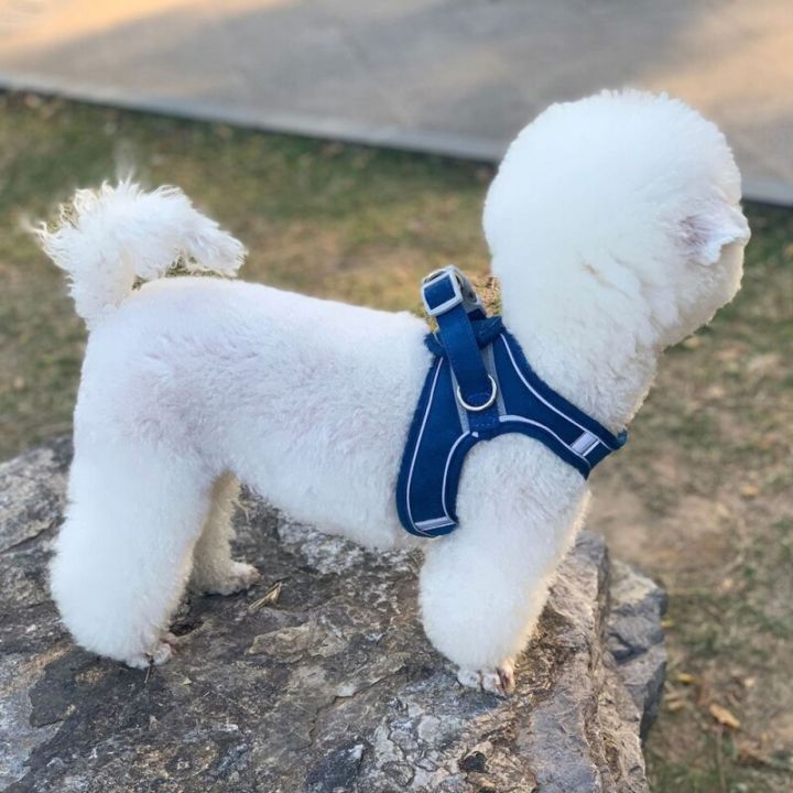 Pet%20%20%20Harnesses%20Vest%20Reflective%20%20Harness%20And%20Leash%20Set%20For%20Chihuahua%20Pug%20Small%20Medium%20Chest%20S%20ng%20Lead%20Leash%20-%20Image%204