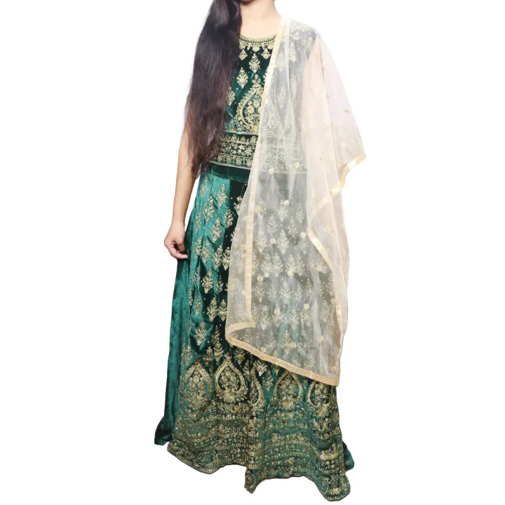 Lehenga%20of%20Soft%20Velvet%20-%20Image%203