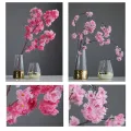 50 pcs Cherry Blossom Tree seed Garden plant Seeds. 