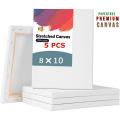 Premium Artist-Quality Canvas 8/10 Inch Bundle for Painting and Art. 
