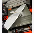 Flying Pegasus! 3D printed Flying Pegasus Model For Table or Decoration and Toys. 