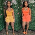 Summer Sleeveless Tank Top Shorts Set Two Piece Set Womens Outifits Jogger Suit Tracksuit Women Casual Party Club 2pcs Outfits. 