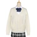 Cardigan Women Solid Oversize Loose Sweaters Girls Japanese Knit Cardigan Candy Color School Uniform Sweater Anime Cosplay.