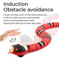 RC Realistic Snake Rattlesnake Toy with Retractable Tongue. 