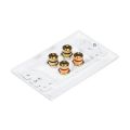 NAMUNY 2X 4 Posts Speaker Wall Plate Home Theater Wall Plate Audio Panel for 2 Speakers. 