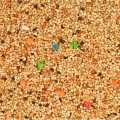 Budgerigar Bird Food Mix 1kg. 