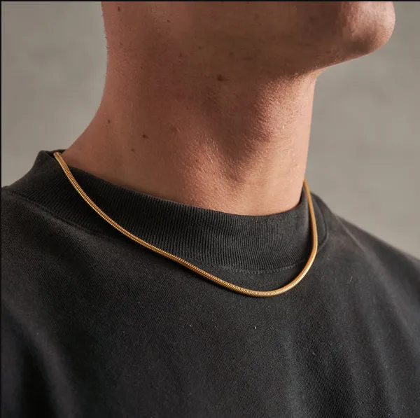 Stylish%20Men%20Stainless%20Steel%20Flat%20Snake%20Neck%20Chain%20-%20Image%208
