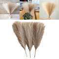 3Pcs Dried Pampas Grass Flower Arrangement Phragmites Reed Flower for Wedding Farmhouse Decor. 