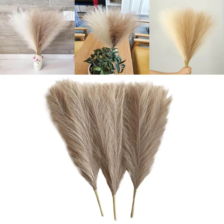 3Pcs%20Dried%20Pampas%20Grass%20Flower%20Arrangement%20Phragmites%20Reed%20Flower%20for%20Wedding%20Farmhouse%20Decor%20-%20Image%206