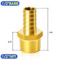 Pneumatic Brass Hose Barb Fitting -1/2 Inch Barb to 1/2 Inch Male NPT Adapter（5Pack). 