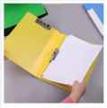 Double Clip File / Clip File (multicolor). 