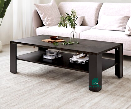 Tea%20Table%20/%20Center%20table%20Height%2016%20Inch%20Width%2028%20Inch%20Depth%2018%20Inch%20TCT001%20-%20Image%204