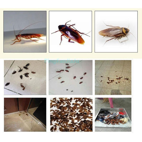 5%20Packets%20Powerful%20cockroach%20bait%20high-efficiency%20cockroach%20bait%20Dachau%20cockroach%20killing%20cockroach%20medicine%20insecticide%20powder%20cockroach%20house%20bait%20-%20Image%203