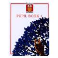 Nelson Grammar: Pupil Book 1. 